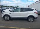 Ford Escape Titanium Image 15