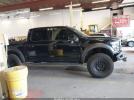 Ford F-150 Raptor Image 14