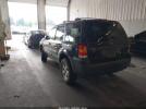 Ford Escape Xlt Image 9