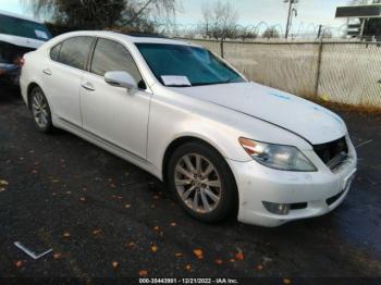  Salvage Lexus LS