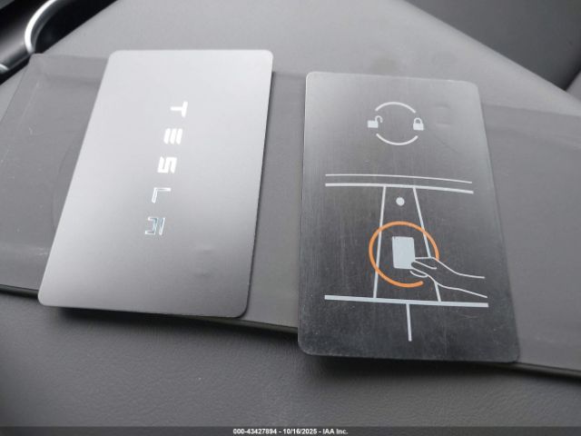 Tesla Model Y Image 11