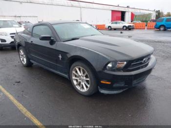  Salvage Ford Mustang