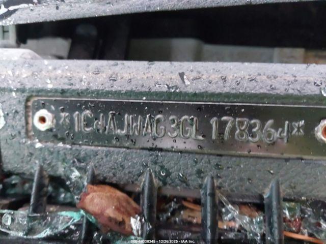 Jeep Wrangler Black Bear Image 7