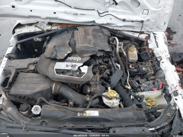 Jeep Wrangler Black Bear Image 12