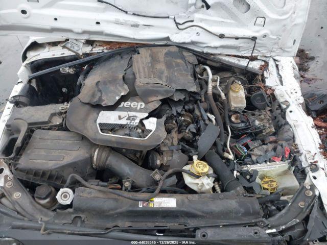 Jeep Wrangler Black Bear Image 12