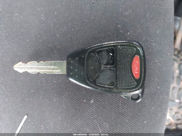 Jeep Wrangler Black Bear Image 11