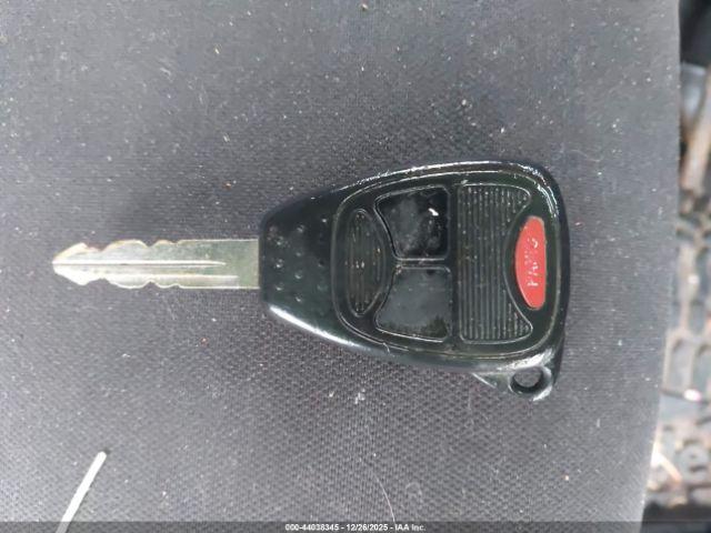 Jeep Wrangler Black Bear Image 11