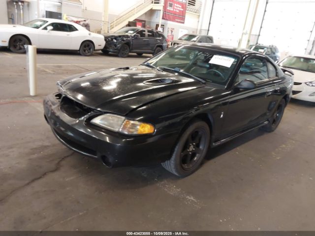 Ford Mustang Svt Cobra Image 14