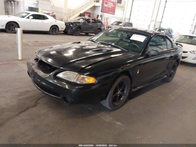 Ford Mustang Svt Cobra Image 14