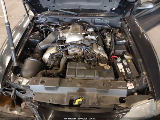 Ford Mustang Svt Cobra Image 5