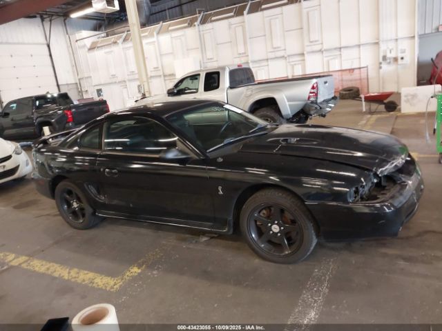 Ford Mustang Svt Cobra Image 13