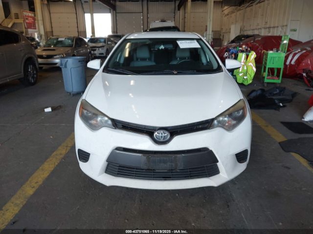 Toyota Corolla Le Image 14