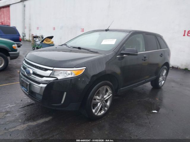 Ford Edge Limited Image 11