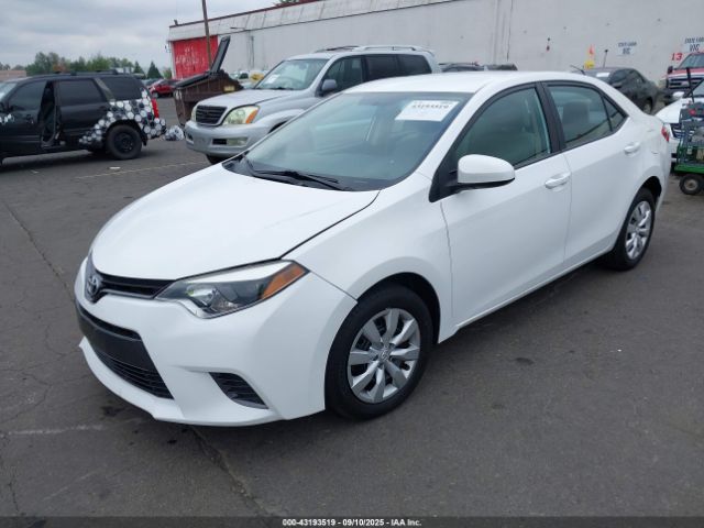 Toyota Corolla Le Image 2