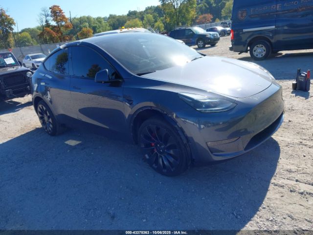 Tesla Model Y Performance Dual Motor All-wheel Drive Image 1