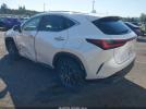 Lexus NX Image 2