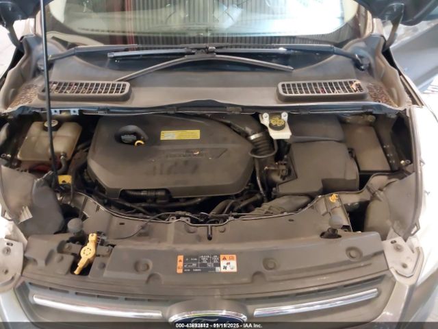 Ford Escape Se Image 7