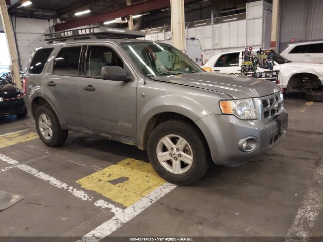 Ford Escape Image 1