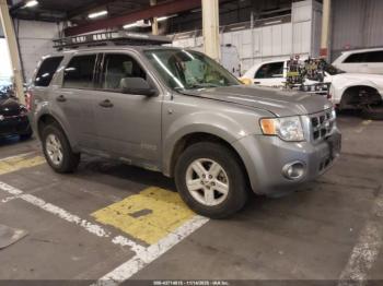  Salvage Ford Escape