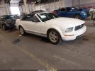Ford Mustang Image 1