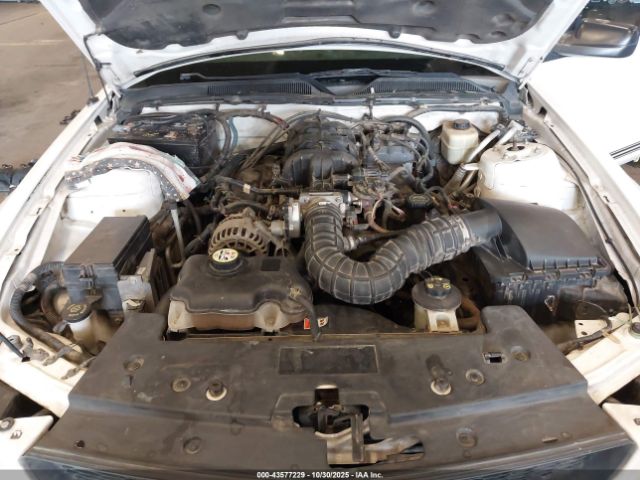 Ford Mustang Image 9